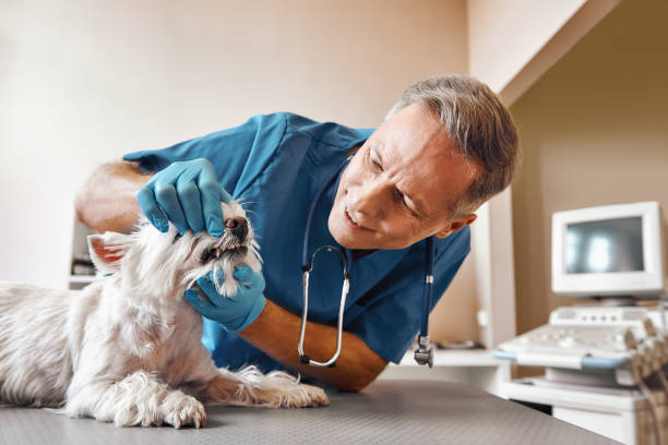 Best Emergency Care for Gum Disease in Broxton, GA